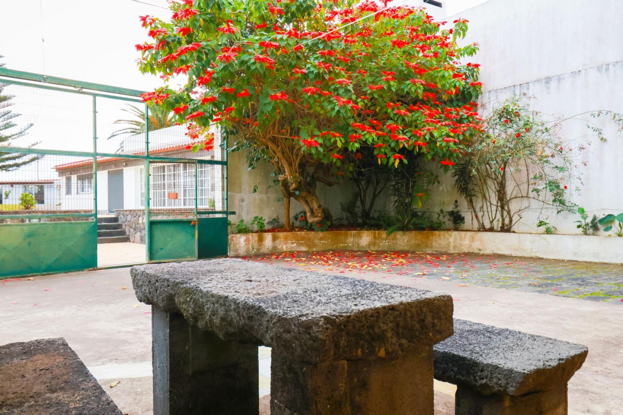 Casa Barao Das Laranjeiras Ponta Delgada  Exterior photo